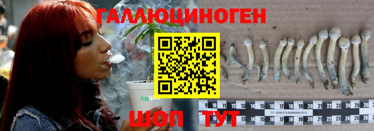 Псилоцибиновые грибы MAGIC MUSHROOMS Севастополь
